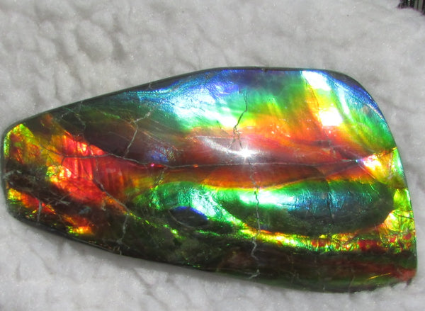 Super Bright  Ammolite   127 x 69x14 mm Collector Stone - CS-126   - アンモライト スーパーブライトカラー コレクターストーン　