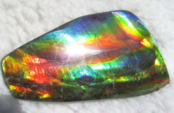 Super Bright  Ammolite   127 x 69x14 mm Collector Stone - CS-126   - アンモライト スーパーブライトカラー コレクターストーン　