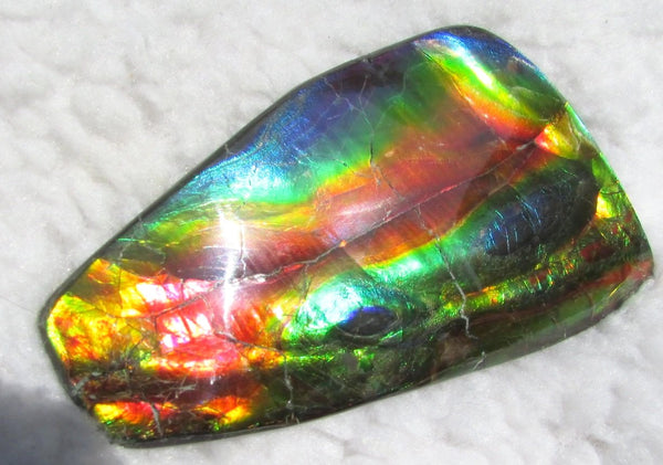 Super Bright  Ammolite   127 x 69x14 mm Collector Stone - CS-126   - アンモライト スーパーブライトカラー コレクターストーン　