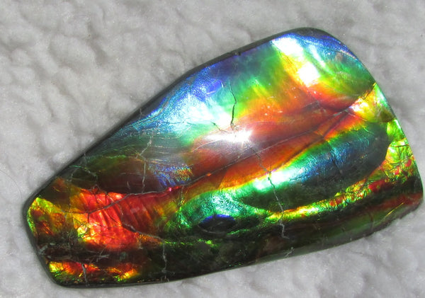 Super Bright  Ammolite   127 x 69x14 mm Collector Stone - CS-126   - アンモライト スーパーブライトカラー コレクターストーン　