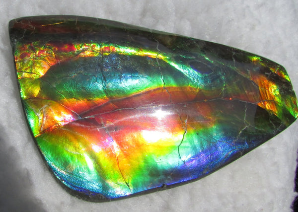Super Bright  Ammolite   127 x 69x14 mm Collector Stone - CS-126   - アンモライト スーパーブライトカラー コレクターストーン　