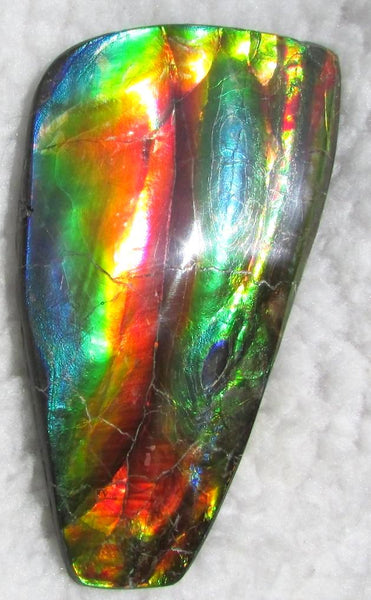 Super Bright  Ammolite   127 x 69x14 mm Collector Stone - CS-126   - アンモライト スーパーブライトカラー コレクターストーン　