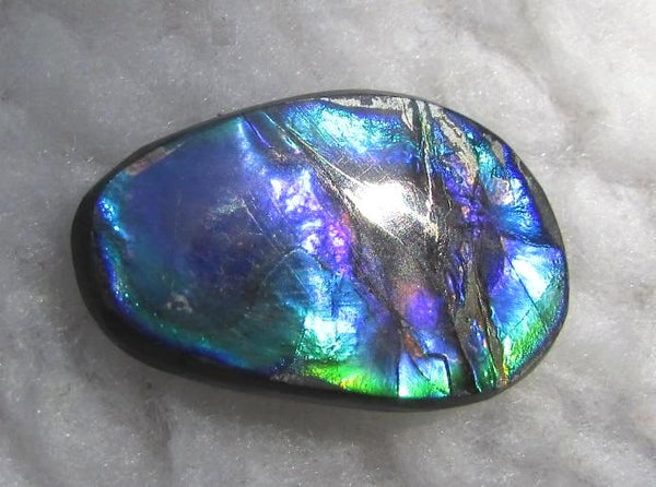 28  x 18 mm  Natural  Free Form . FFN 345 Ammolite  ナチュラル　ルース　アンモライト フリーフォーム
