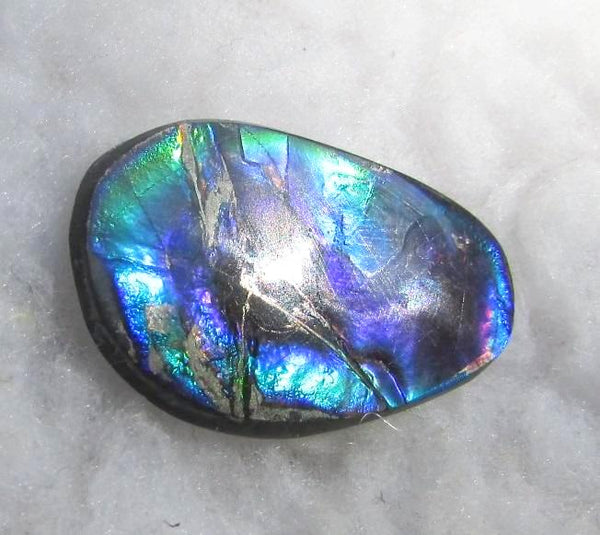 28  x 18 mm  Natural  Free Form . FFN 345 Ammolite  ナチュラル　ルース　アンモライト フリーフォーム