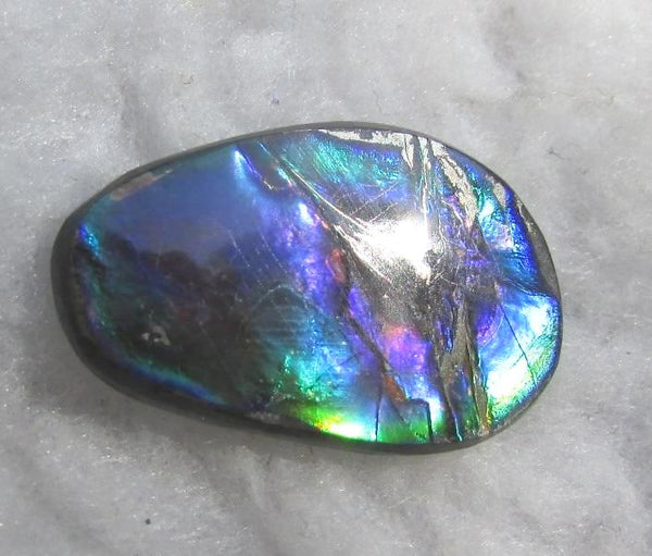 28  x 18 mm  Natural  Free Form . FFN 345 Ammolite  ナチュラル　ルース　アンモライト フリーフォーム