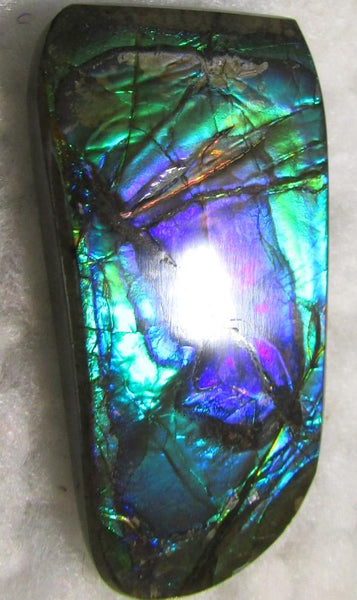 Beautiful Purple 45  x 24 mm  Natural  Free Form . FFN 349 Ammolite  ナチュラル　ルース　アンモライト フリーフォーム
