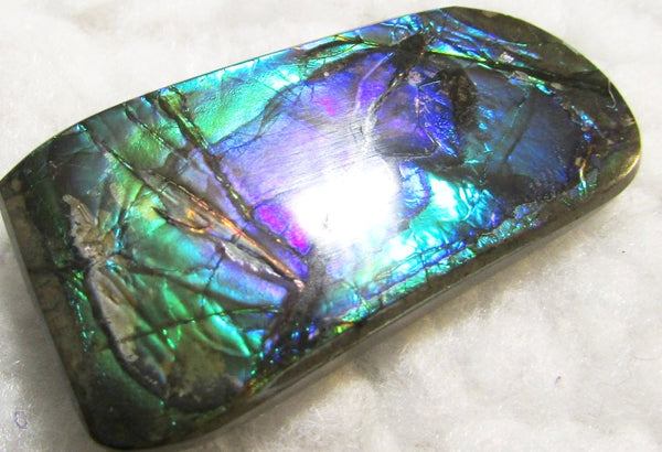 Beautiful Purple 45  x 24 mm  Natural  Free Form . FFN 349 Ammolite  ナチュラル　ルース　アンモライト フリーフォーム