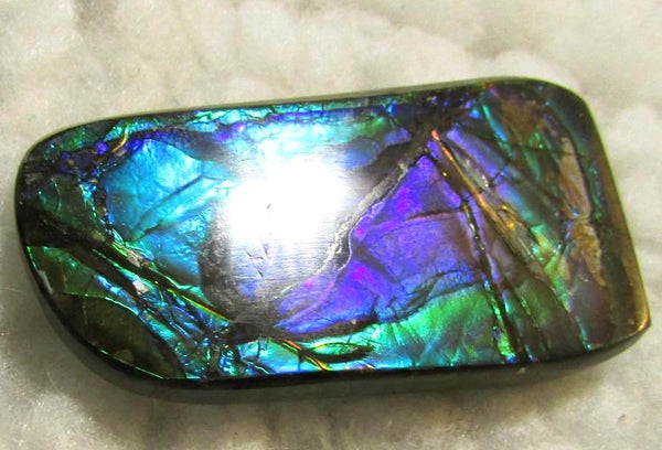 Beautiful Purple 45  x 24 mm  Natural  Free Form . FFN 349 Ammolite  ナチュラル　ルース　アンモライト フリーフォーム