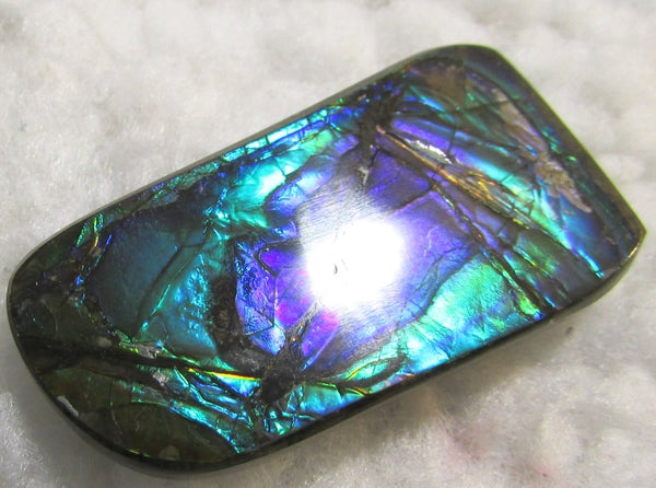 Beautiful Purple 45  x 24 mm  Natural  Free Form . FFN 349 Ammolite  ナチュラル　ルース　アンモライト フリーフォーム