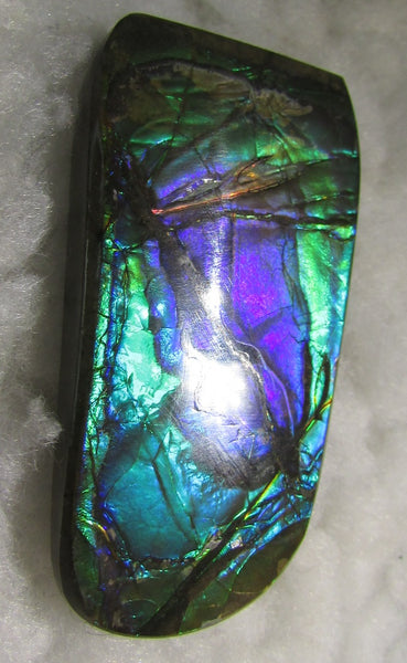Beautiful Purple 45  x 24 mm  Natural  Free Form . FFN 349 Ammolite  ナチュラル　ルース　アンモライト フリーフォーム