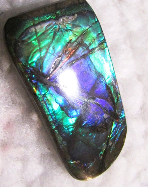 Beautiful Purple 45  x 24 mm  Natural  Free Form . FFN 349 Ammolite  ナチュラル　ルース　アンモライト フリーフォーム