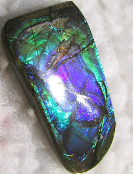 Beautiful Purple 45  x 24 mm  Natural  Free Form . FFN 349 Ammolite  ナチュラル　ルース　アンモライト フリーフォーム