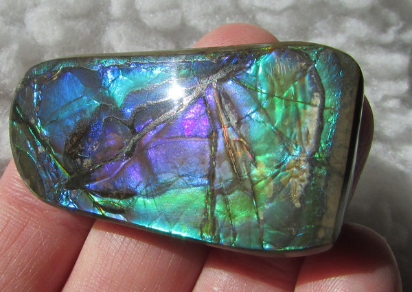 Beautiful Purple 45  x 24 mm  Natural  Free Form . FFN 349 Ammolite  ナチュラル　ルース　アンモライト フリーフォーム