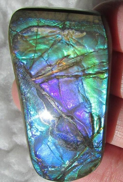 Beautiful Purple 45  x 24 mm  Natural  Free Form . FFN 349 Ammolite  ナチュラル　ルース　アンモライト フリーフォーム
