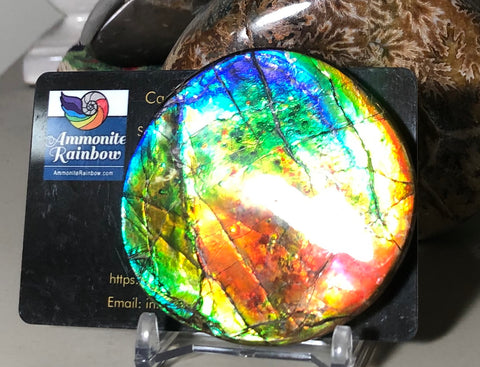 62 x 58mm Beautiful colors! Natural  Free Form . FFNT 138   ナチュラル　ルース　アンモライト フリーフォーム