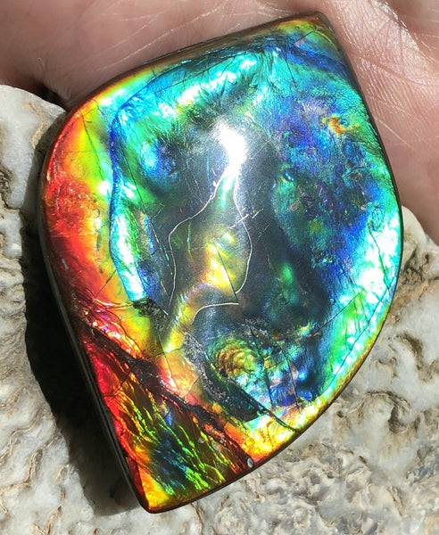 Get $20 Off Sale until Jun 10th ! LARGE 55x40 mm  TOP Grade Natural  Free Form . FFNT 131 Ammolite  Free Shipping! ナチュラル　ルース　アンモライト 送料無料！