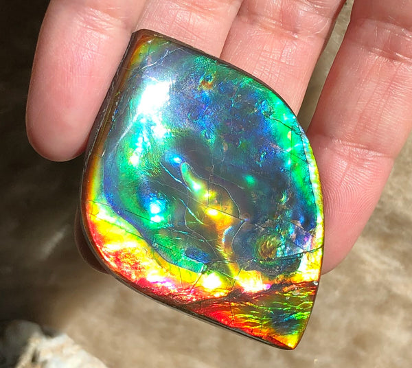 Get $20 Off Sale until Jun 10th ! LARGE 55x40 mm  TOP Grade Natural  Free Form . FFNT 131 Ammolite  Free Shipping! ナチュラル　ルース　アンモライト 送料無料！
