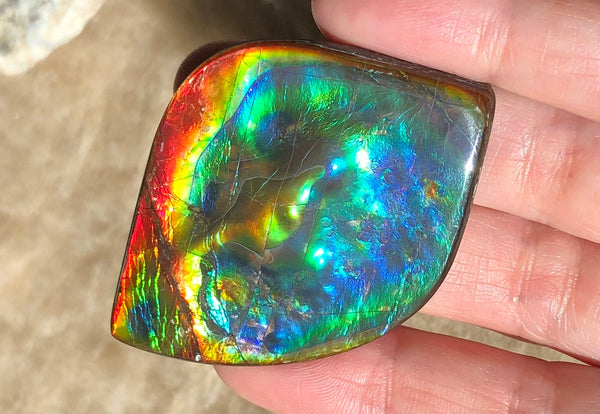 Get $20 Off Sale until Jun 10th ! LARGE 55x40 mm  TOP Grade Natural  Free Form . FFNT 131 Ammolite  Free Shipping! ナチュラル　ルース　アンモライト 送料無料！