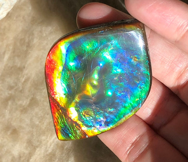 Get $20 Off Sale until Jun 10th ! LARGE 55x40 mm  TOP Grade Natural  Free Form . FFNT 131 Ammolite  Free Shipping! ナチュラル　ルース　アンモライト 送料無料！