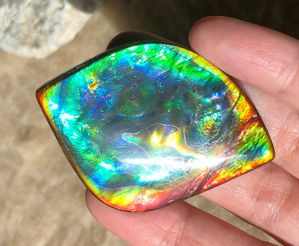 Get $20 Off Sale until Jun 10th ! LARGE 55x40 mm  TOP Grade Natural  Free Form . FFNT 131 Ammolite  Free Shipping! ナチュラル　ルース　アンモライト 送料無料！