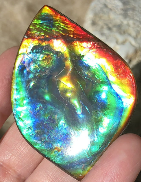 Get $20 Off Sale until Jun 10th ! LARGE 55x40 mm  TOP Grade Natural  Free Form . FFNT 131 Ammolite  Free Shipping! ナチュラル　ルース　アンモライト 送料無料！