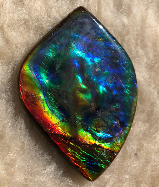 Get $20 Off Sale until Jun 10th ! LARGE 55x40 mm  TOP Grade Natural  Free Form . FFNT 131 Ammolite  Free Shipping! ナチュラル　ルース　アンモライト 送料無料！