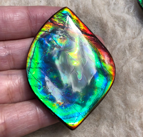 Get $20 Off Sale until Jun 10th ! LARGE 55x40 mm  TOP Grade Natural  Free Form . FFNT 131 Ammolite  Free Shipping! ナチュラル　ルース　アンモライト 送料無料！