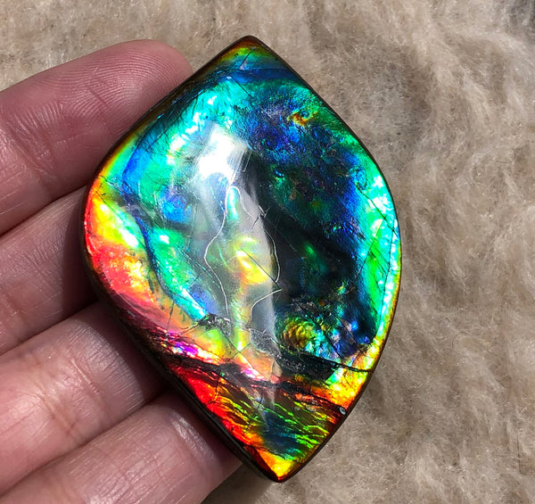 Get $20 Off Sale until Jun 10th ! LARGE 55x40 mm  TOP Grade Natural  Free Form . FFNT 131 Ammolite  Free Shipping! ナチュラル　ルース　アンモライト 送料無料！