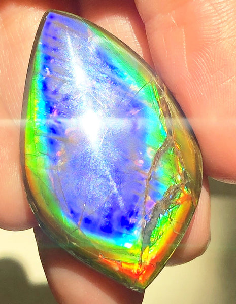 40 x 23.5 mm  Natural  Free Form . FFNT 118 Ammolite  ナチュラル　ルース　アンモライト フリーフォーム