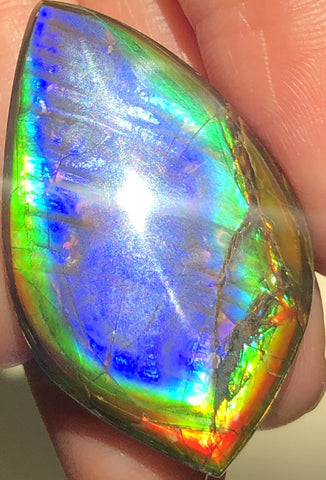 40 x 23.5 mm  Natural  Free Form . FFNT 118 Ammolite  ナチュラル　ルース　アンモライト フリーフォーム
