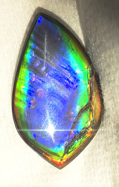 40 x 23.5 mm  Natural  Free Form . FFNT 118 Ammolite  ナチュラル　ルース　アンモライト フリーフォーム