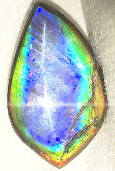 40 x 23.5 mm  Natural  Free Form . FFNT 118 Ammolite  ナチュラル　ルース　アンモライト フリーフォーム