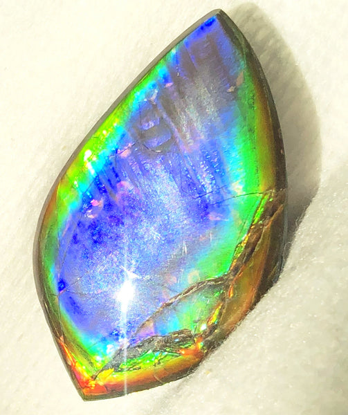 40 x 23.5 mm  Natural  Free Form . FFNT 118 Ammolite  ナチュラル　ルース　アンモライト フリーフォーム