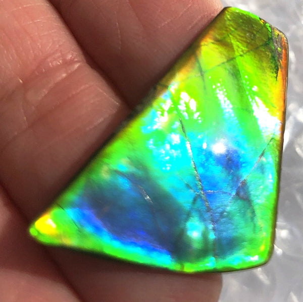 31 x 17  mm  - IMP-60 Natural Ammolite Double-Sided Imperial!　両面　レインボー！レアルース　アンモライト
