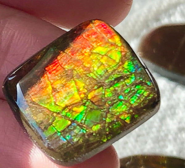 19x19mm Coated Free Form Dragonskin - FFC98   - Ammolite アンモライト　ルース　