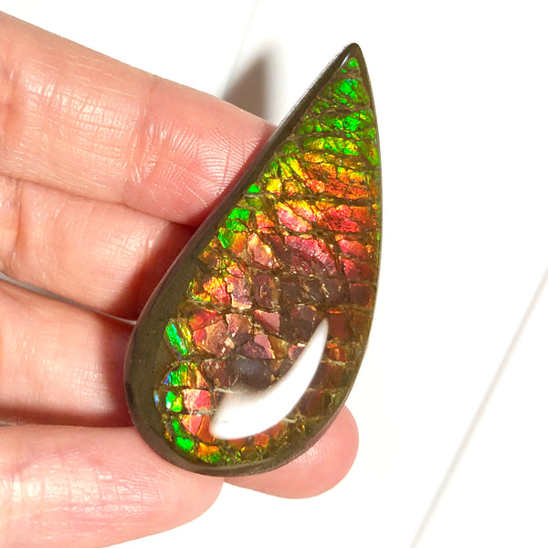 50x 24  mm Coated Free Form Dragonskin - FFC97   - アンモライト　ルース　