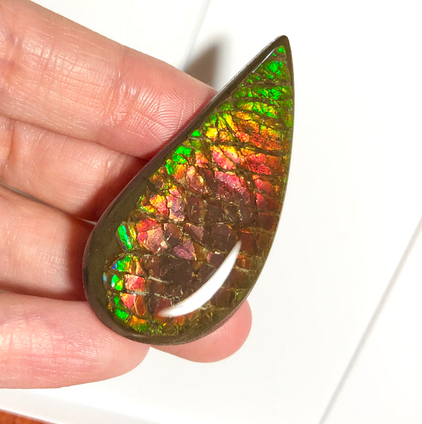 50x 24  mm Coated Free Form Dragonskin - FFC97   - アンモライト　ルース　