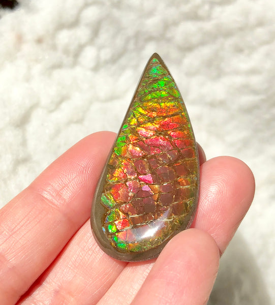 50x 24  mm Coated Free Form Dragonskin - FFC97   - アンモライト　ルース　