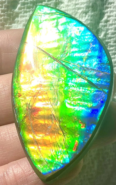 Extra Large Rainbow colors  57x31 mm  Top Grade Natural  Free Form . FFNT 143 Ammolite  レインボーカラー！ナチュラル　ルース　アンモライト