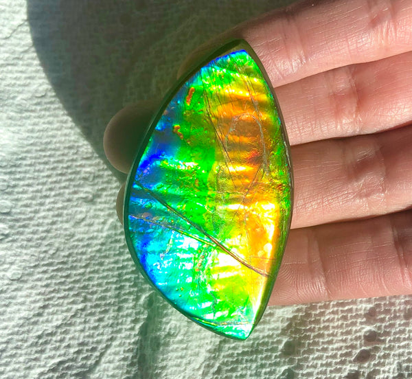 Extra Large Rainbow colors  57x31 mm  Top Grade Natural  Free Form . FFNT 143 Ammolite  レインボーカラー！ナチュラル　ルース　アンモライト