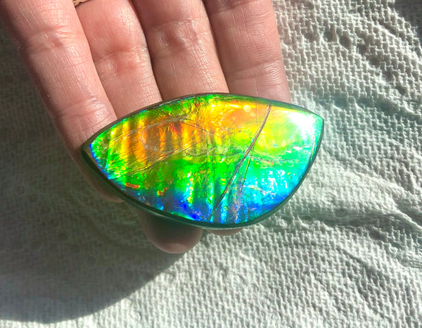 Extra Large Rainbow colors  57x31 mm  Top Grade Natural  Free Form . FFNT 143 Ammolite  レインボーカラー！ナチュラル　ルース　アンモライト