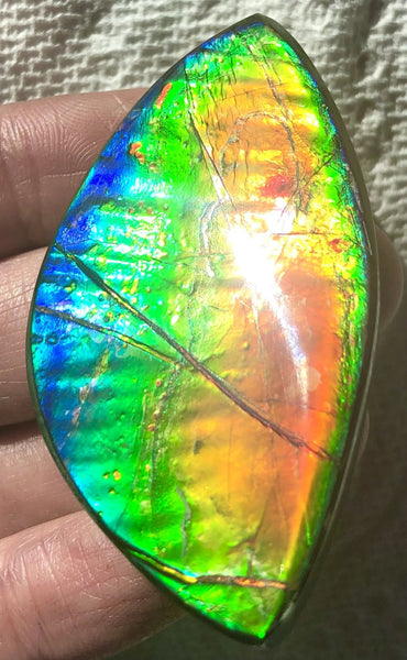 Extra Large Rainbow colors  57x31 mm  Top Grade Natural  Free Form . FFNT 143 Ammolite  レインボーカラー！ナチュラル　ルース　アンモライト