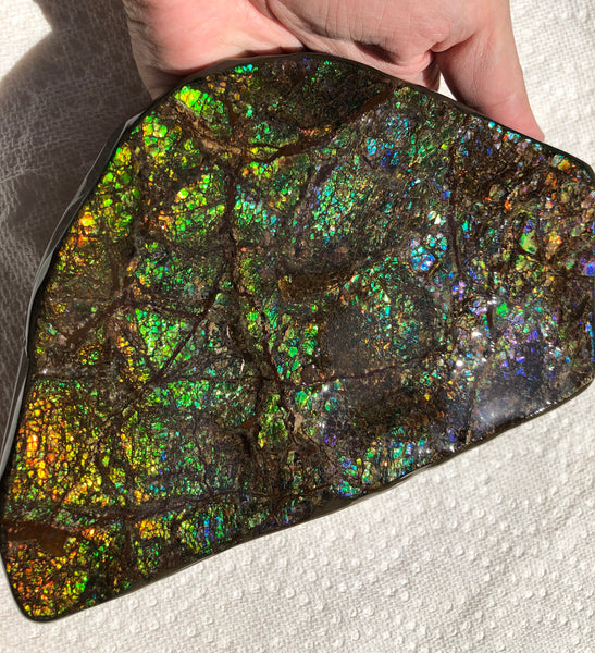 CS-156 Ammolite 180 x115x20㎜ Collector Stone -XXL Dysplay Gem Free shipping! アンモライト コレクターストーン 送料無料！