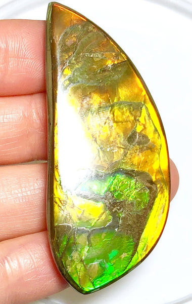 58x23x5.5mm    Natural  Free Form . FFN366  Ammolite  ナチュラル　ルース　アンモライト フリーフォーム