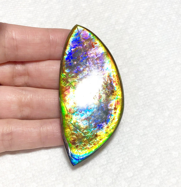 68 x 31x 6.5 mm RARE Pink with gorgeous colors! Natural  Free Form . FFNT 123 Super bright  ナチュラル　ルース　アンモライト フリーフォーム Free shipping