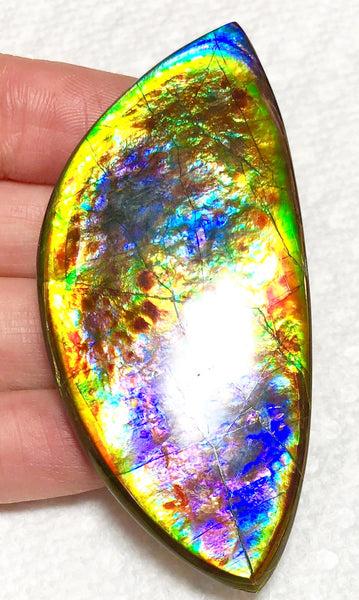 68 x 31x 6.5 mm RARE Pink with gorgeous colors! Natural  Free Form . FFNT 123 Super bright  ナチュラル　ルース　アンモライト フリーフォーム Free shipping