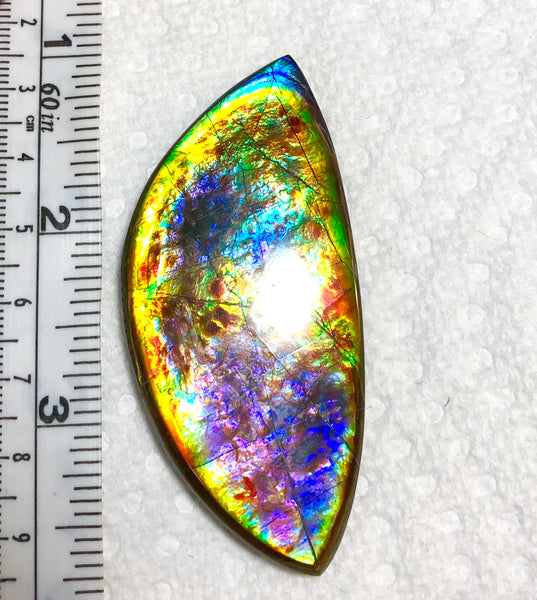 68 x 31x 6.5 mm RARE Pink with gorgeous colors! Natural  Free Form . FFNT 123 Super bright  ナチュラル　ルース　アンモライト フリーフォーム Free shipping