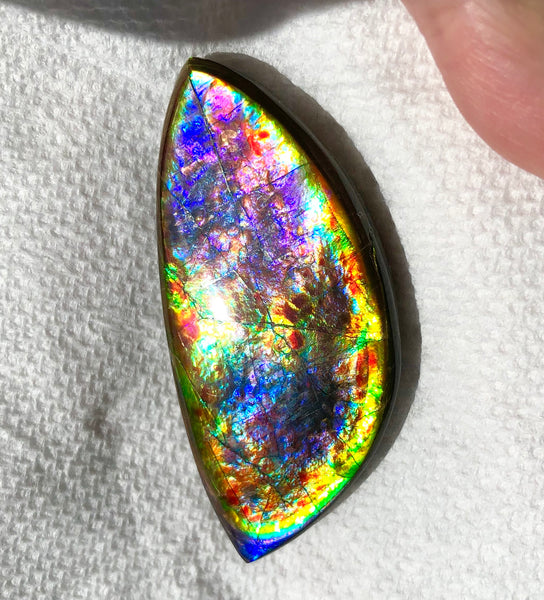 68 x 31x 6.5 mm RARE Pink with gorgeous colors! Natural  Free Form . FFNT 123 Super bright  ナチュラル　ルース　アンモライト フリーフォーム Free shipping