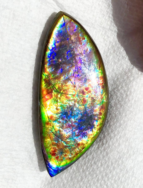 68 x 31x 6.5 mm RARE Pink with gorgeous colors! Natural  Free Form . FFNT 123 Super bright  ナチュラル　ルース　アンモライト フリーフォーム Free shipping