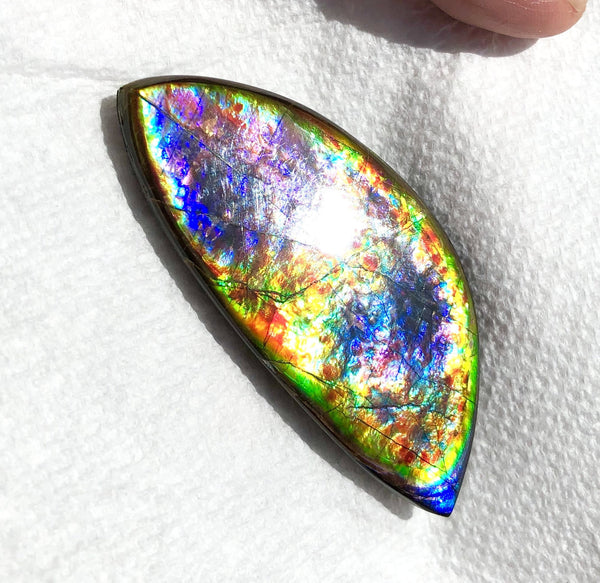 68 x 31x 6.5 mm RARE Pink with gorgeous colors! Natural  Free Form . FFNT 123 Super bright  ナチュラル　ルース　アンモライト フリーフォーム Free shipping